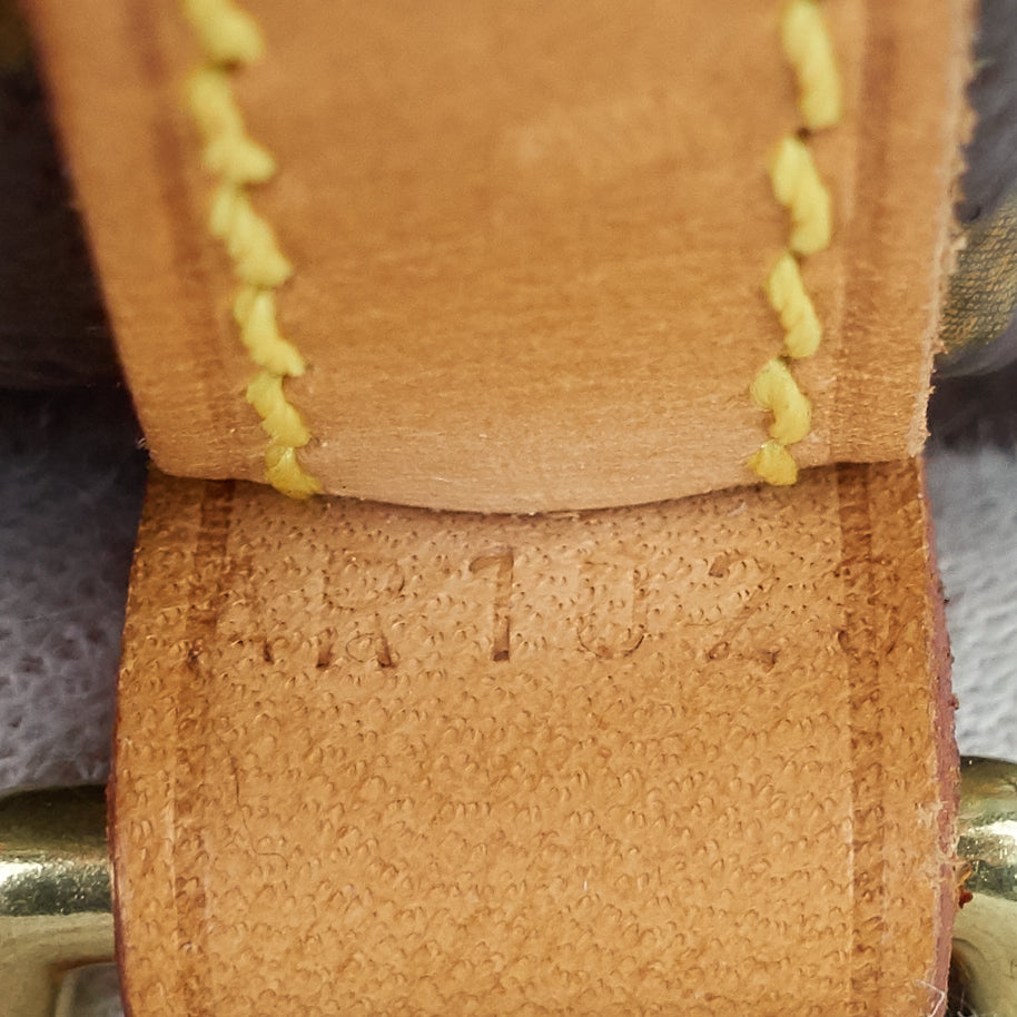 noe mini monogram canvas bag
