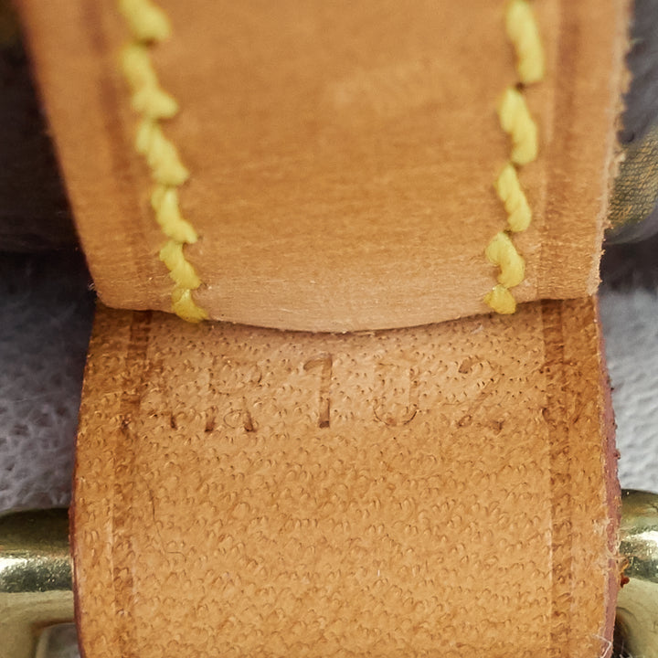 noe mini monogram canvas bag