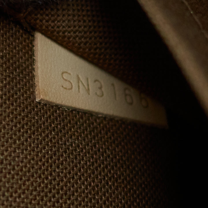 alma pm monogram canvas bag