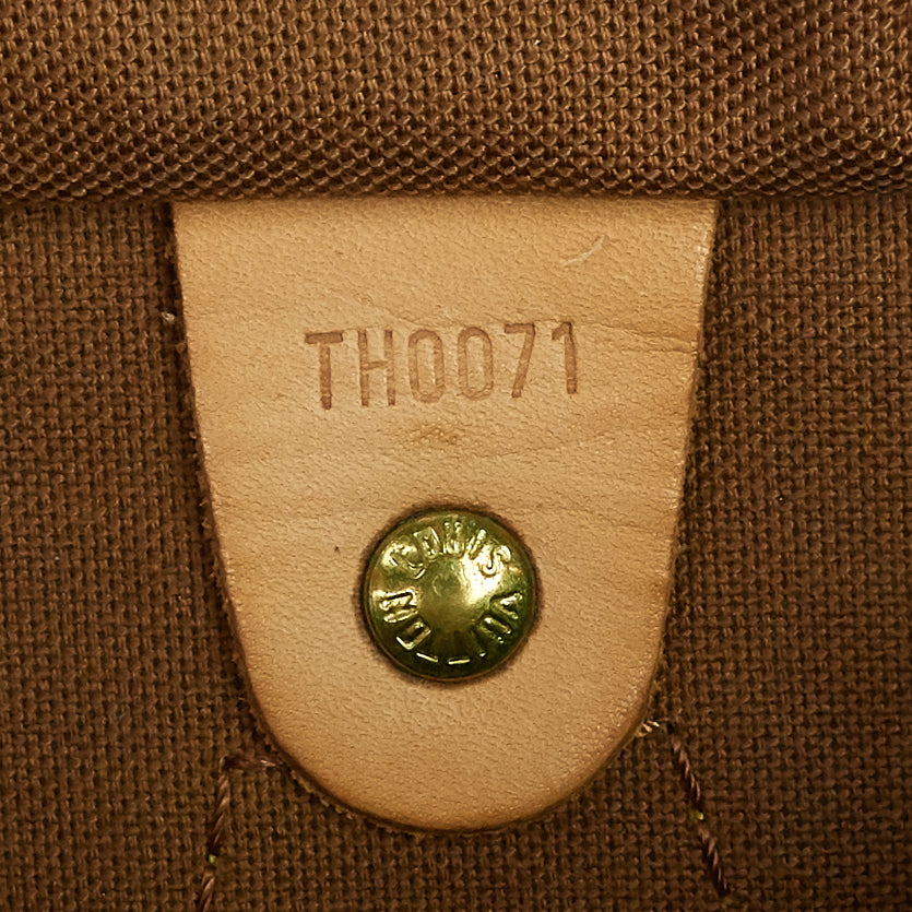 speedy 30 monogram canvas bag