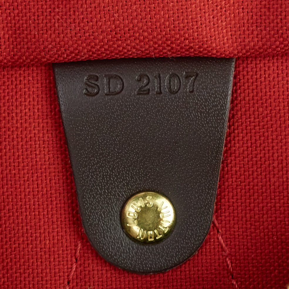 speedy 30 damier ebene canvas bag