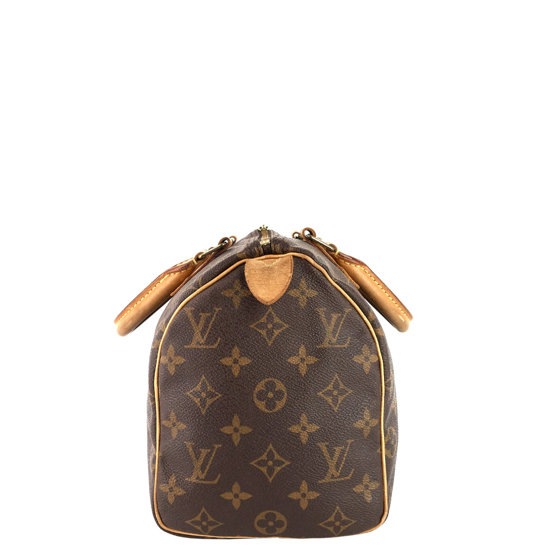 Speedy 25 Monogram Canvas Bag