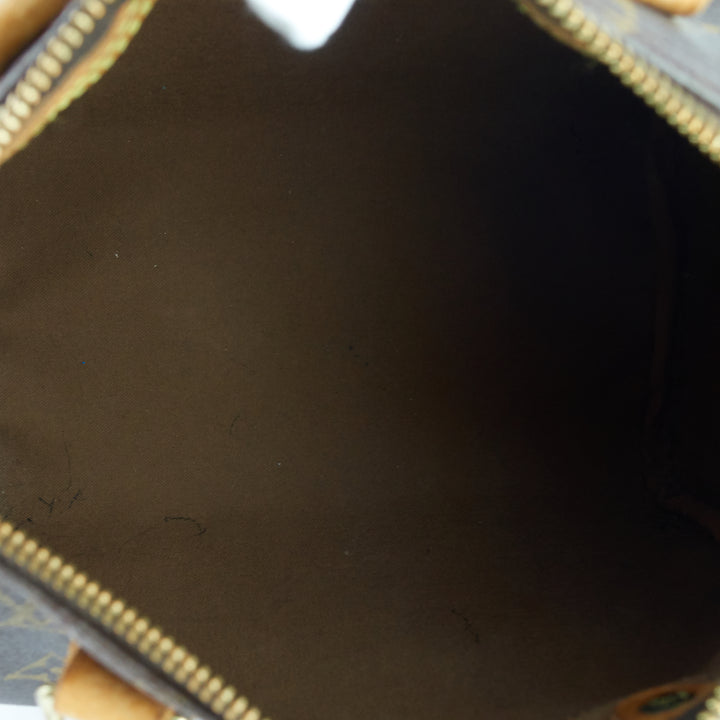 Speedy 25 Monogram Canvas Bag