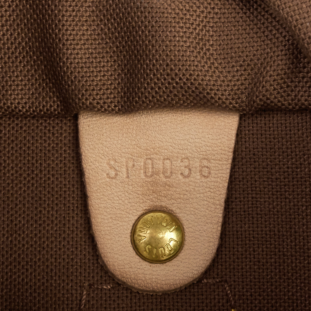 speedy 25 monogram canvas bag