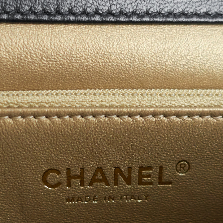 chic pearls mini lambskin leather bag