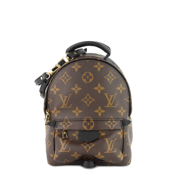 palm springs mini monogram canvas backpack