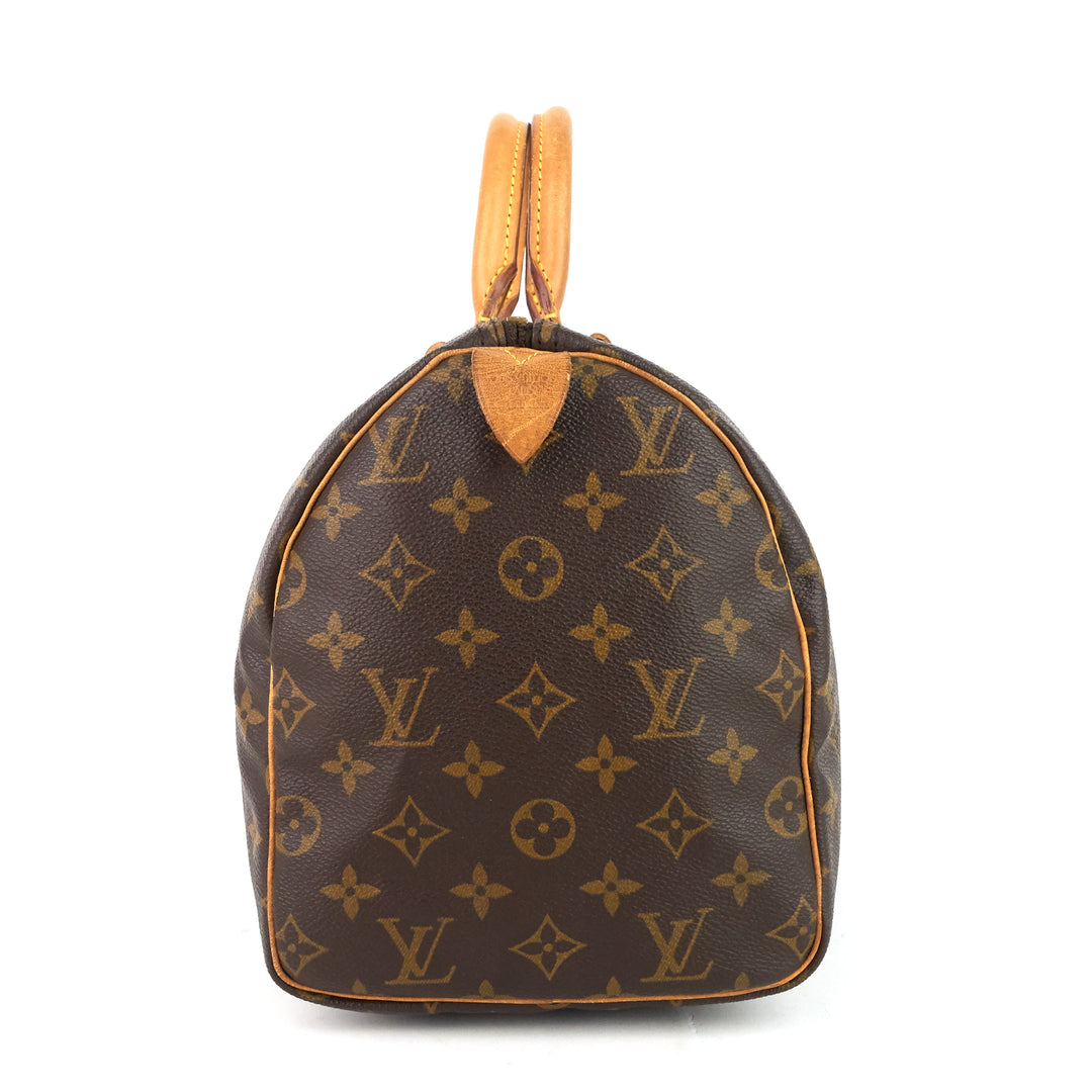 speedy 30 monogram canvas bag