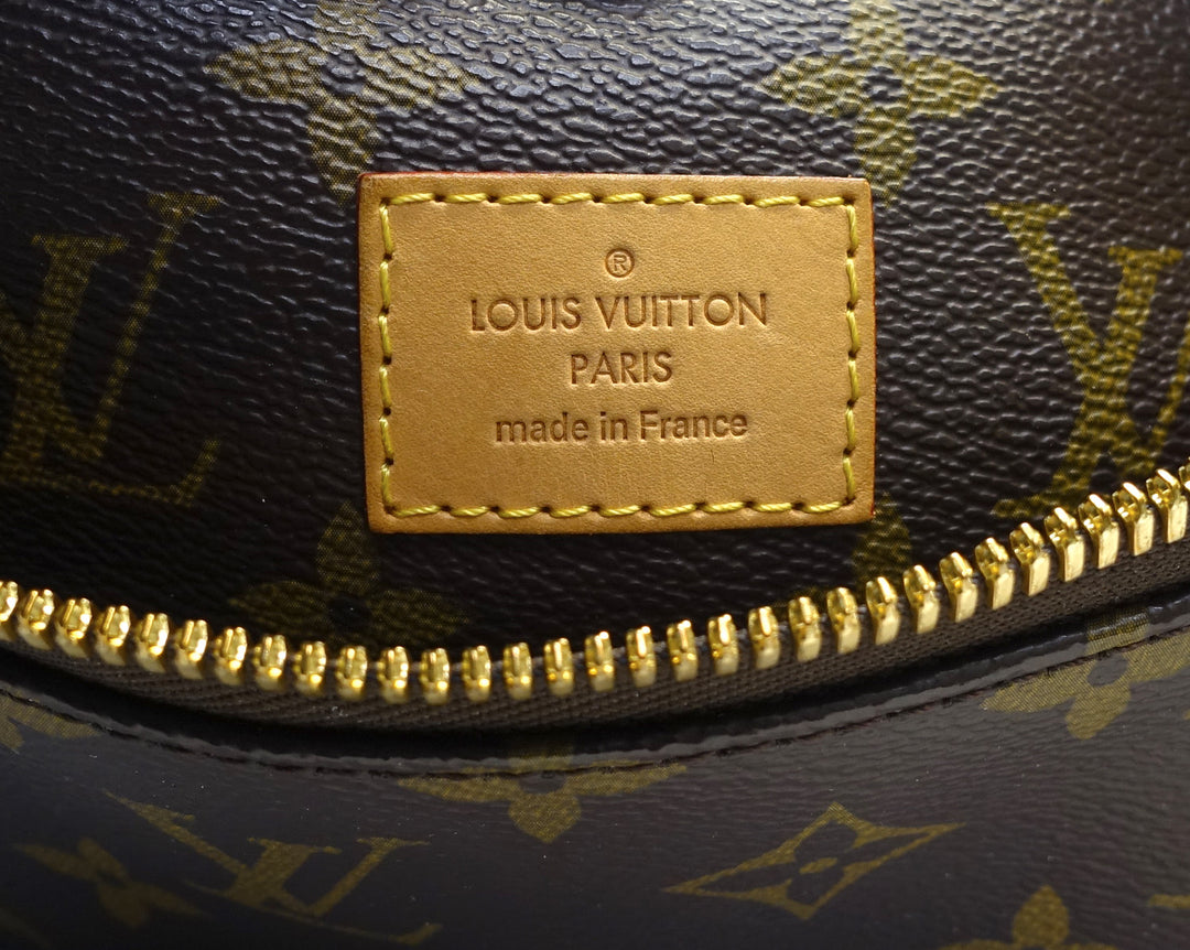 sully pm monogram canvas bag