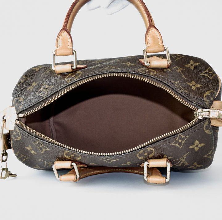 speedy 25 monogram canvas handbag