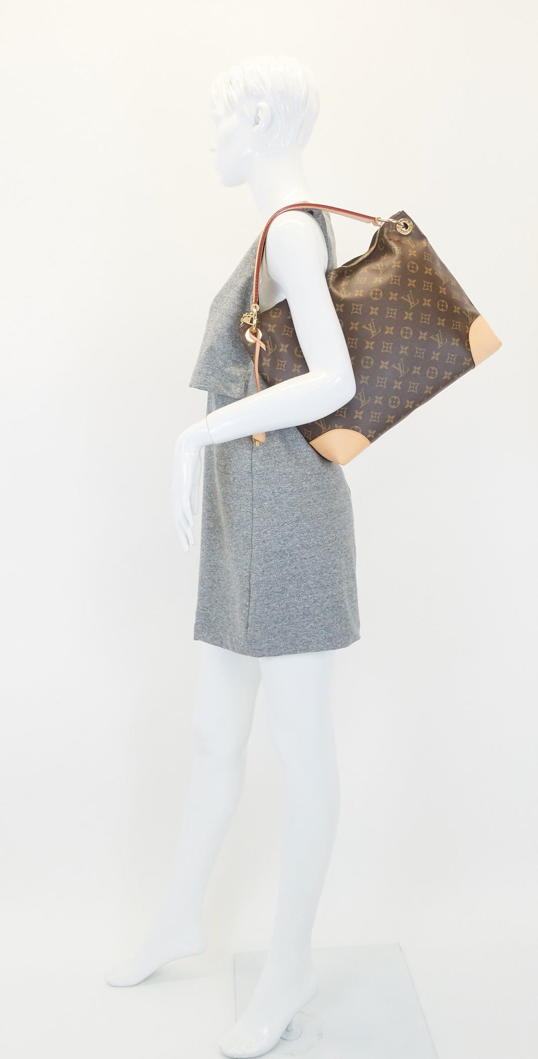berri pm monogram canvas shoulder bag