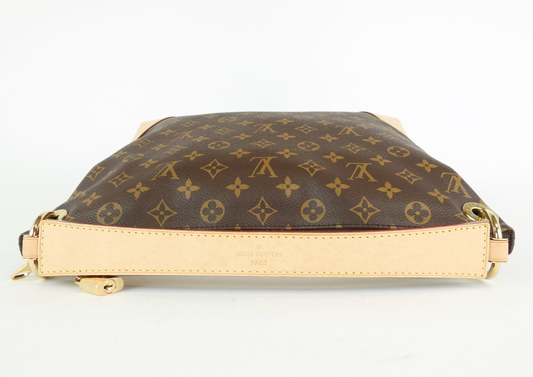 berri pm monogram canvas shoulder bag