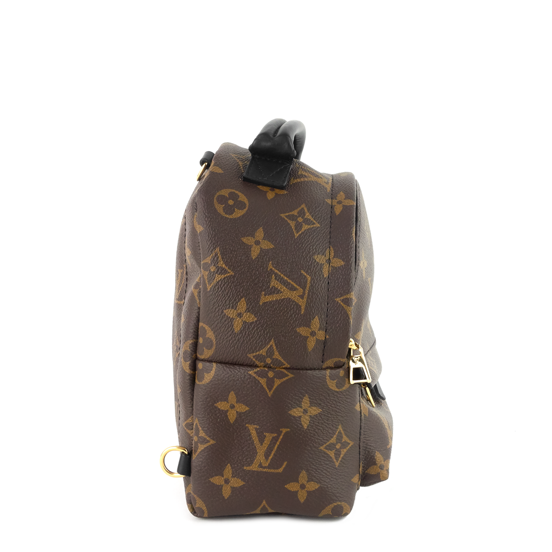 palm springs mini monogram canvas backpack