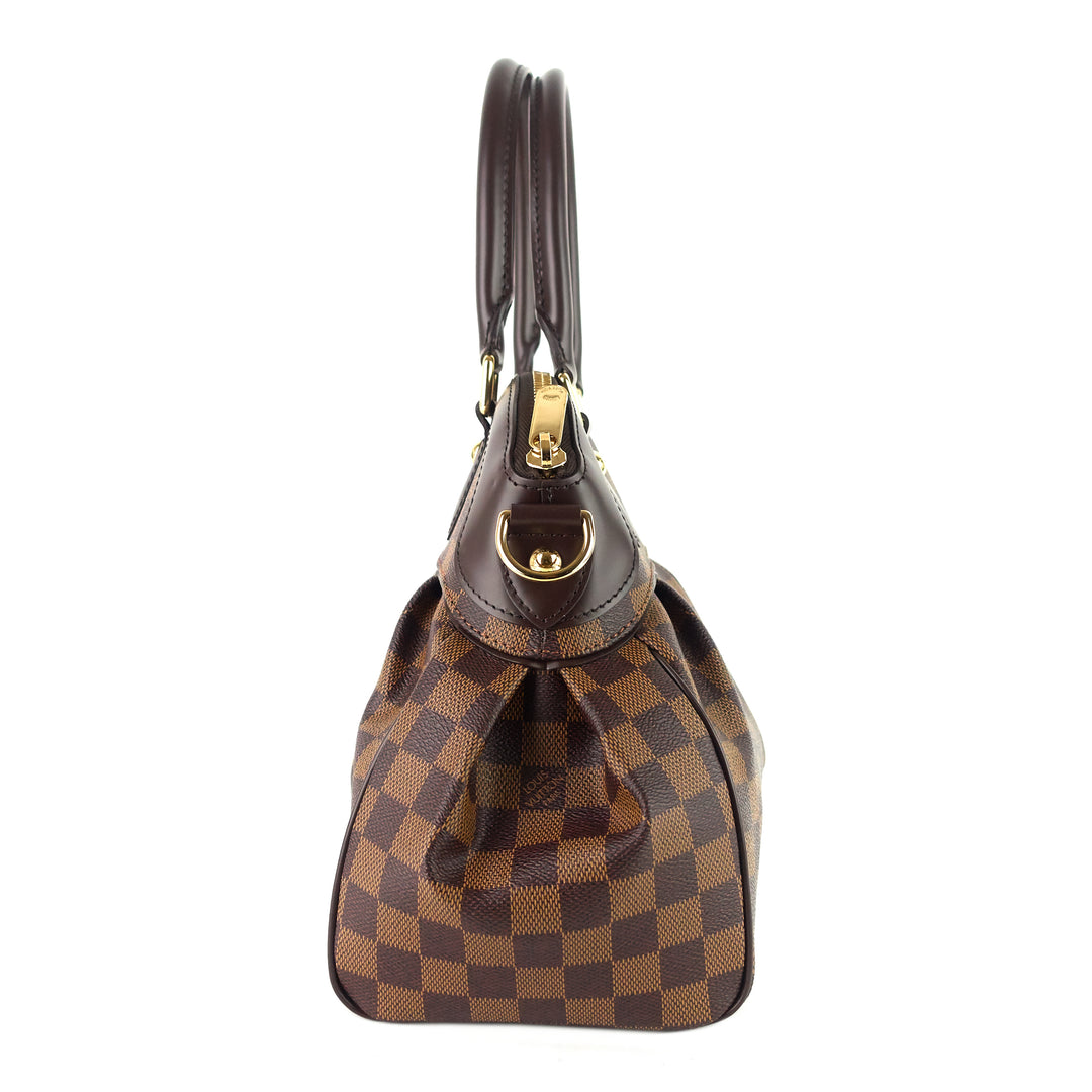 trevi pm damier ebene canvas bag