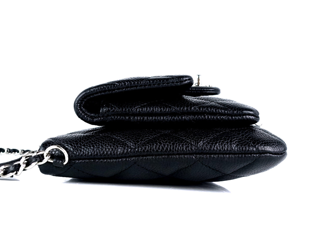 iridescent quilted caviar leather daily zip bag