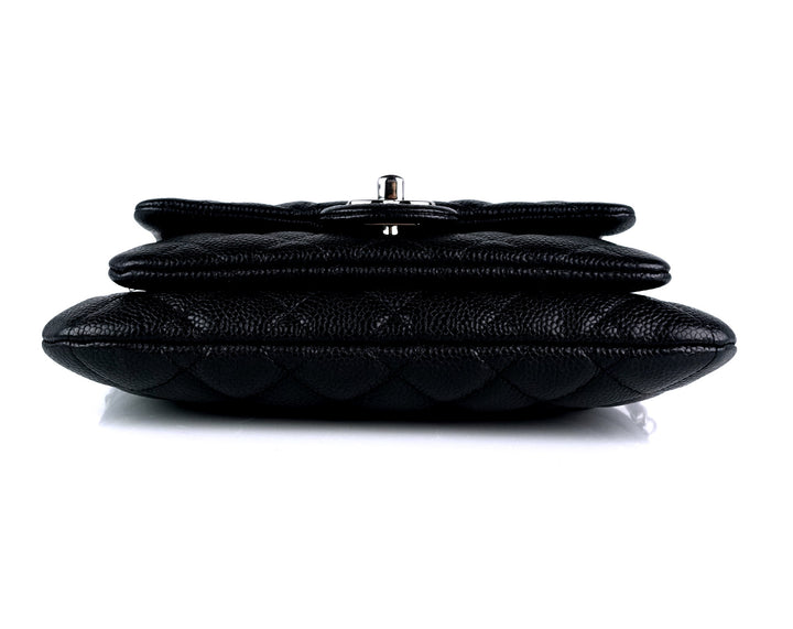 iridescent quilted caviar leather daily zip bag