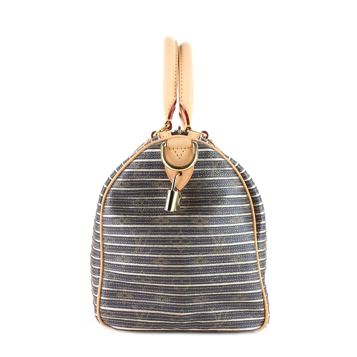 eden speedy 30 monogram canvas bag
