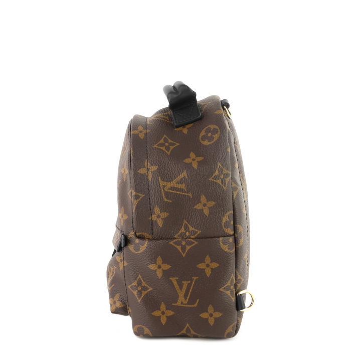 palm springs mini monogram canvas backpack