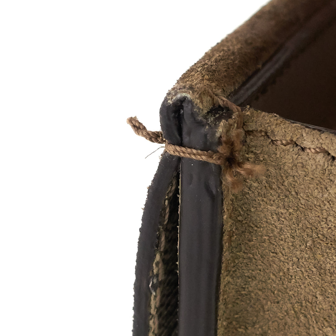 dionysus super mini gg supreme canvas bag