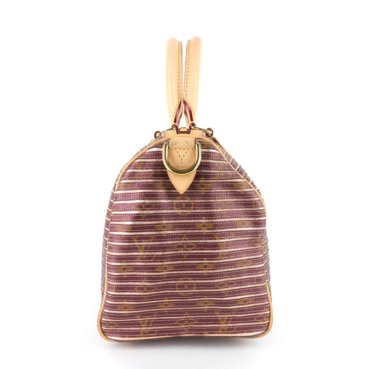 eden speedy bandoulière 30 canvas handbag
