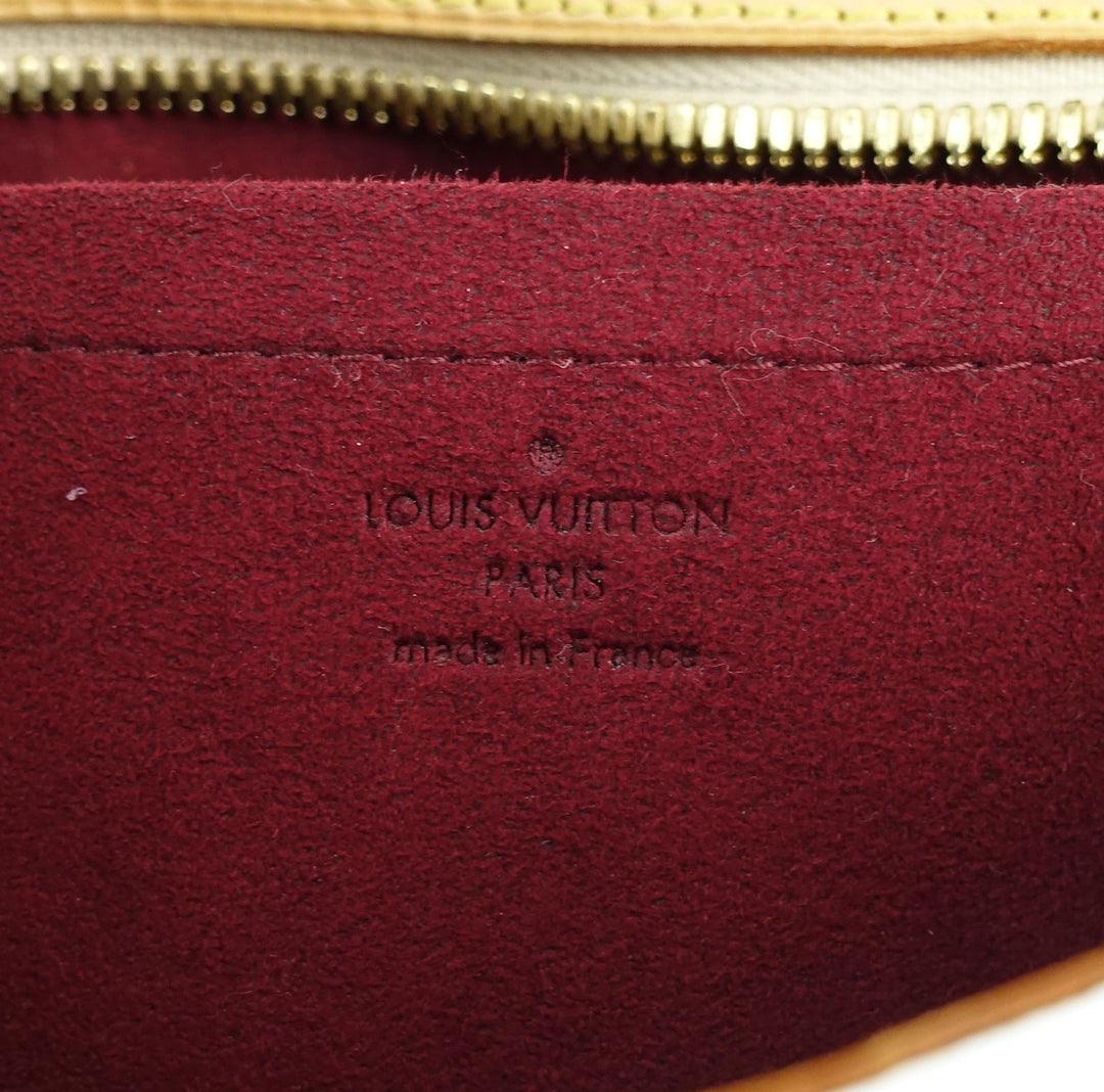 lodge pm multicolore monogram canvas bag