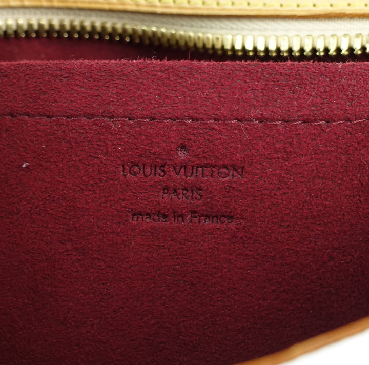 lodge pm multicolore monogram canvas bag