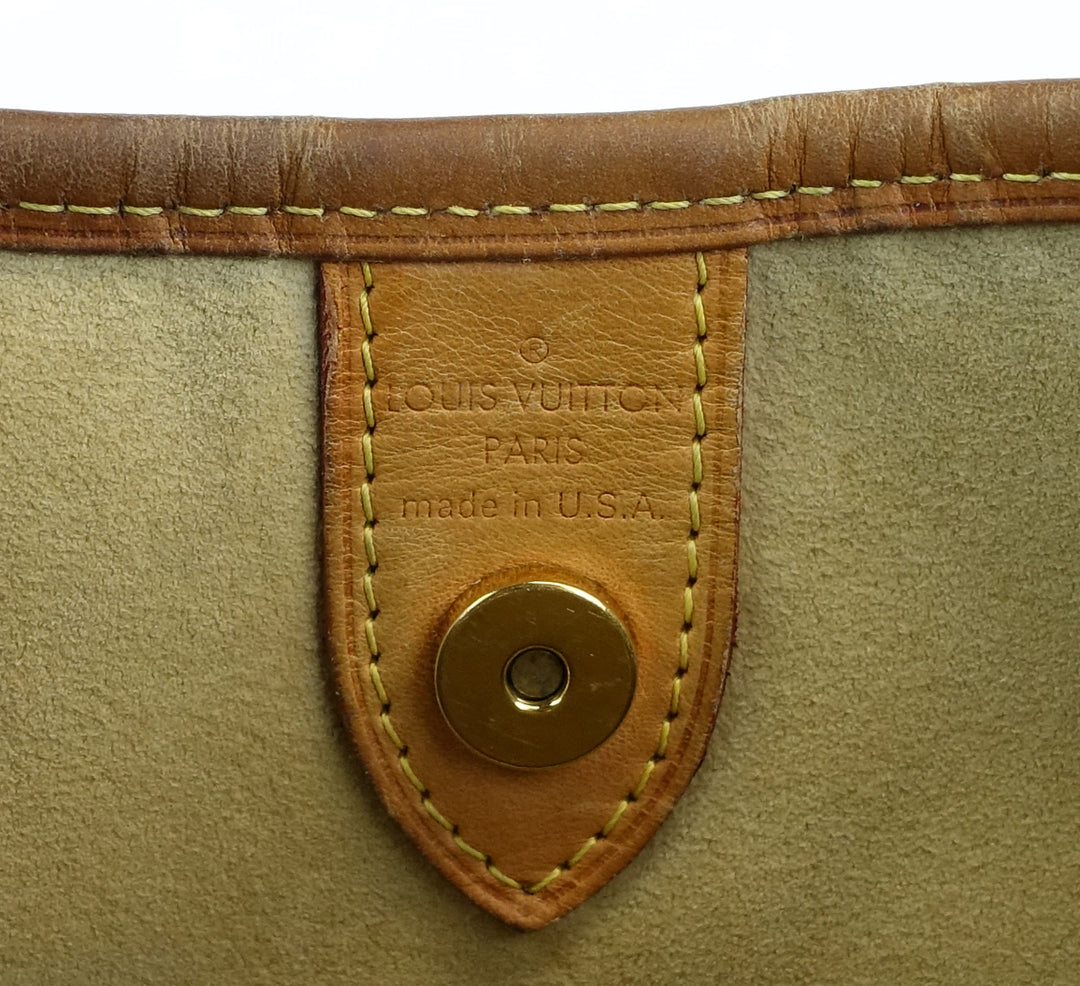 galliera pm monogram canvas handbag