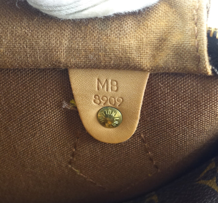 speedy 35 monogram canvas bag