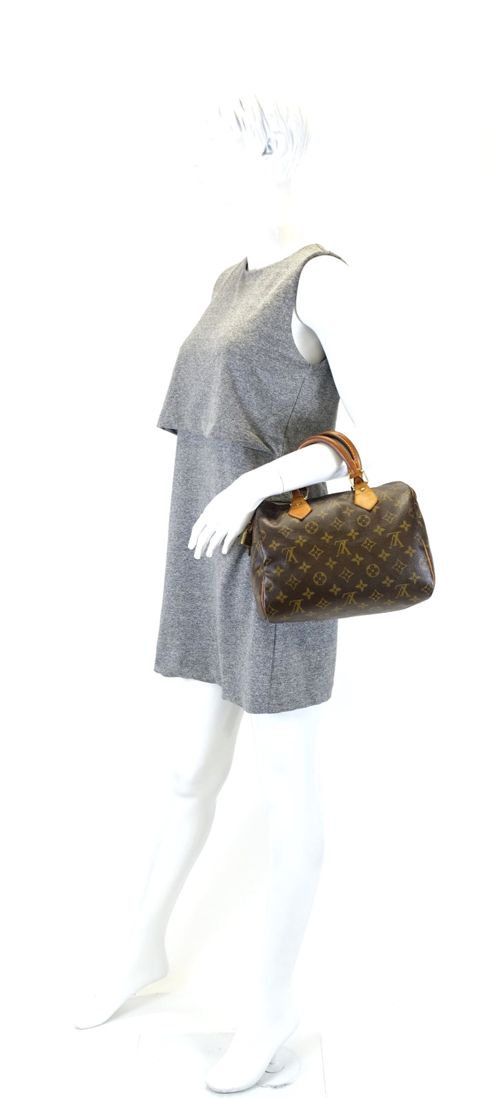 speedy 25 monogram canvas bag