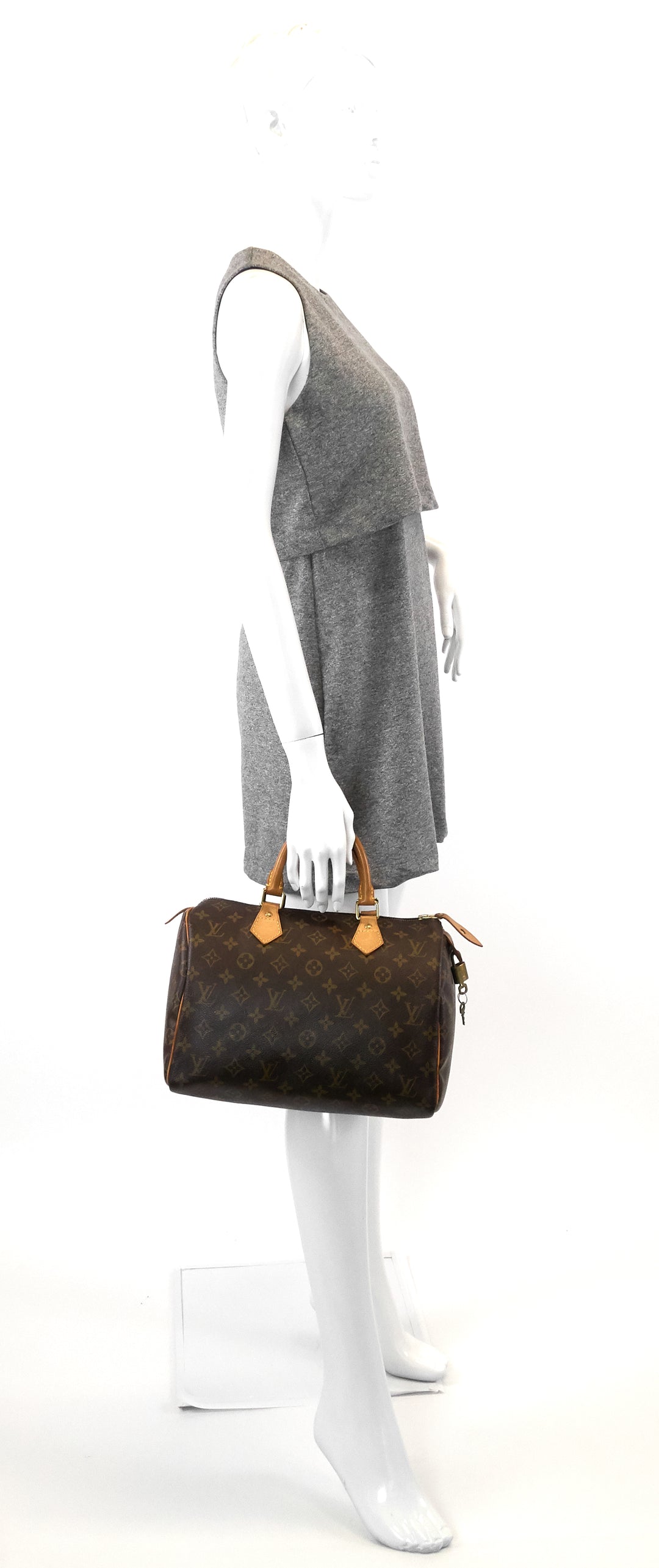 speedy 30 monogram canvas bag