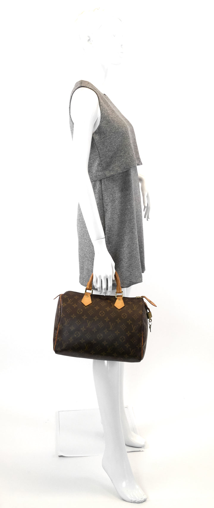 speedy 30 monogram canvas bag