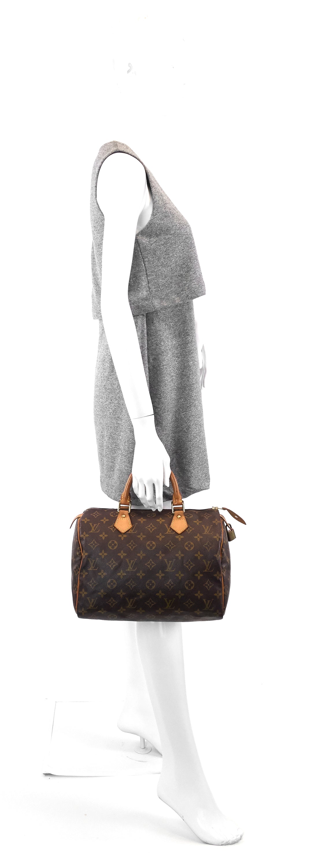 speedy 30 monogram canvas bag