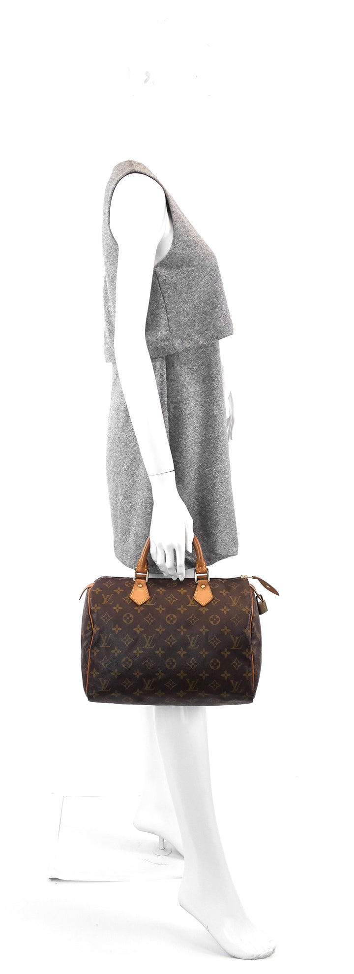 speedy 30 monogram canvas bag