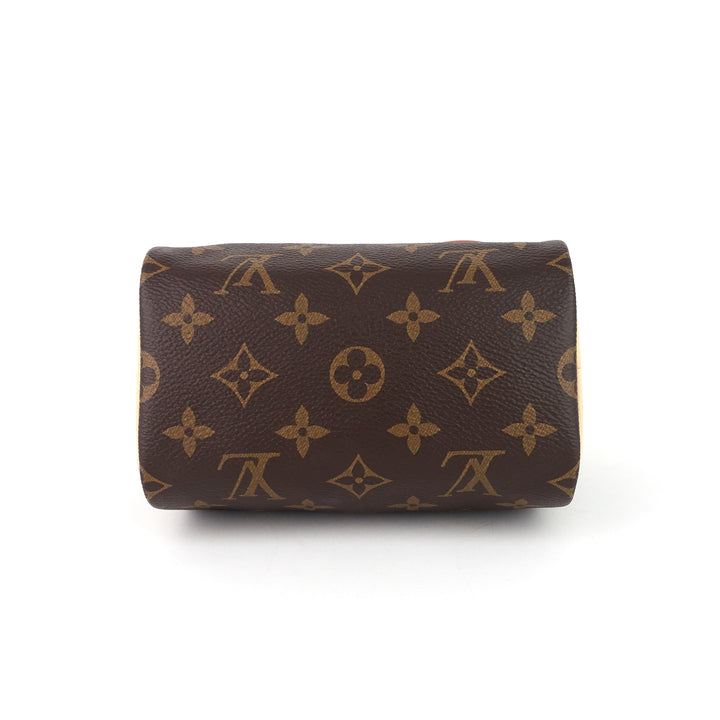 speedy nano monogram canvas bag