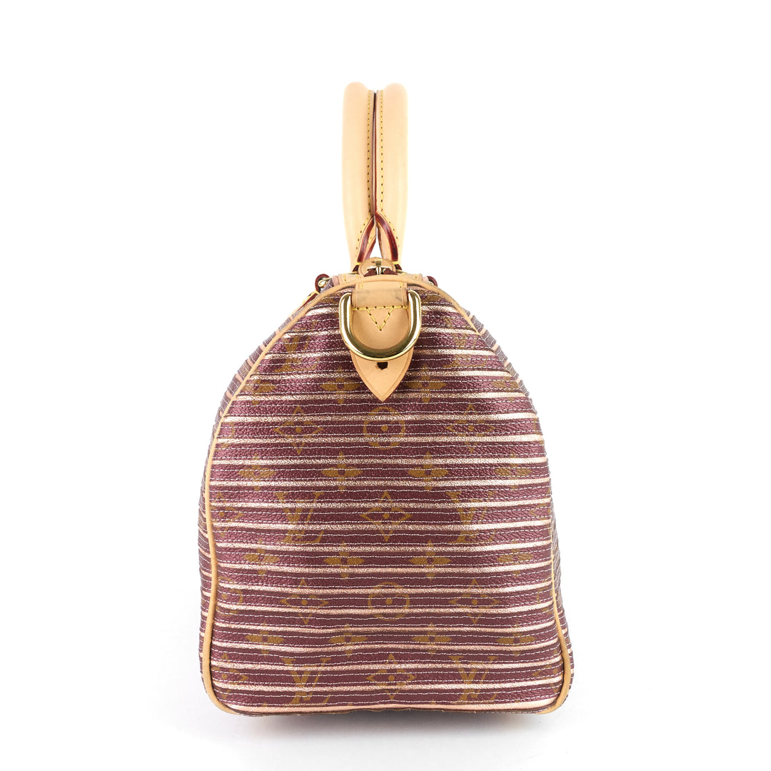 eden speedy bandoulière 30 canvas handbag