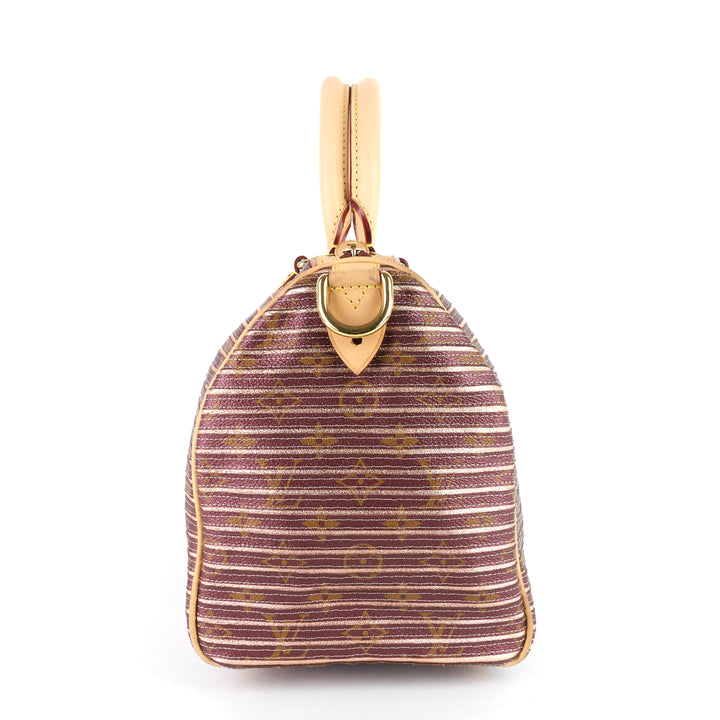 eden speedy bandoulière 30 canvas handbag