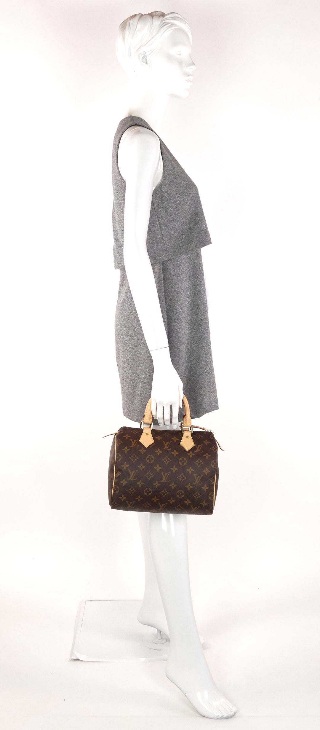 speedy 25 monogram canvas bag