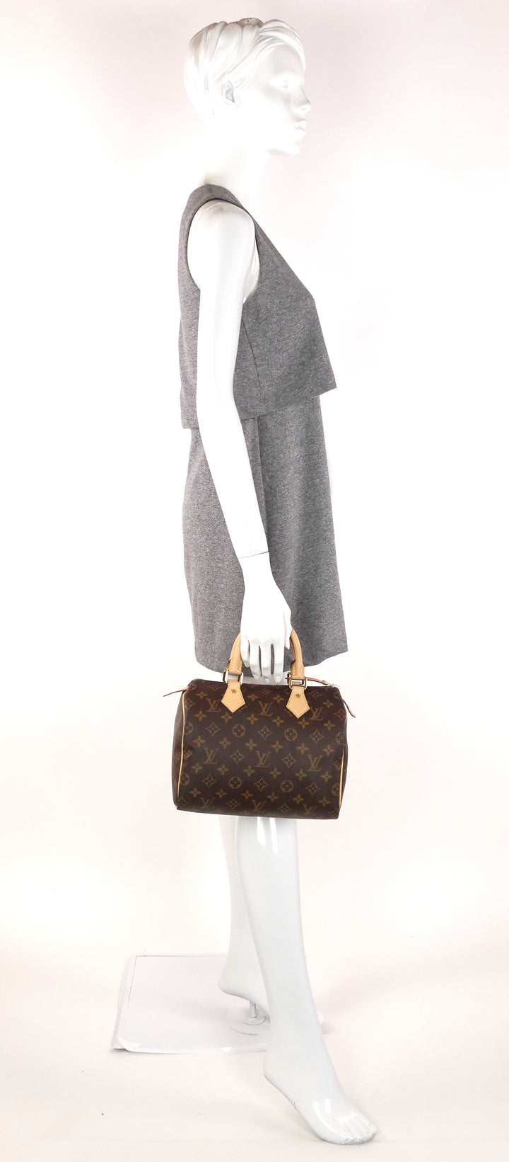 speedy 25 monogram canvas bag