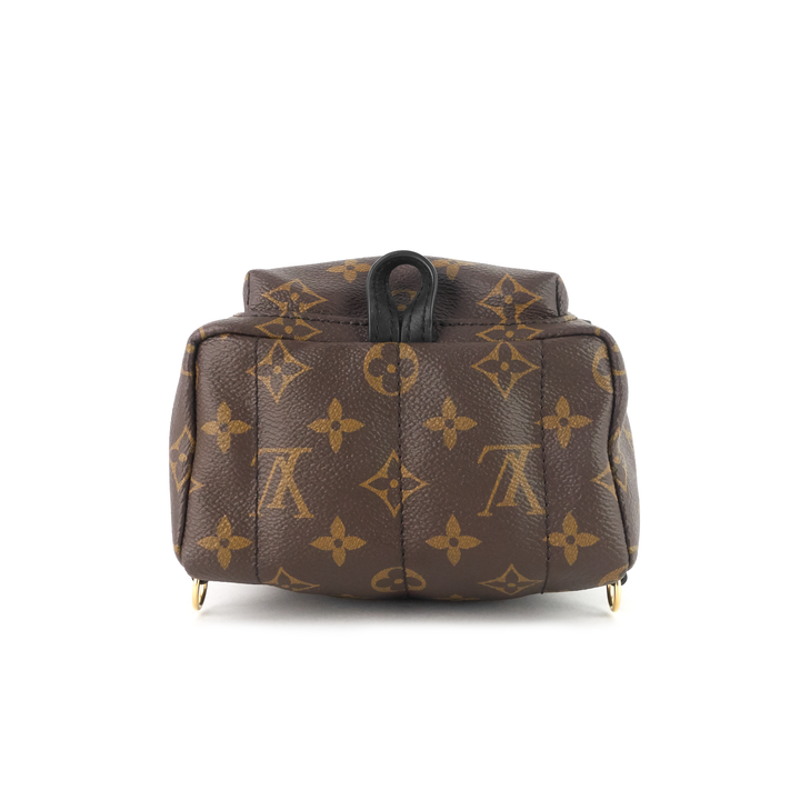 palm springs mini monogram canvas backpack