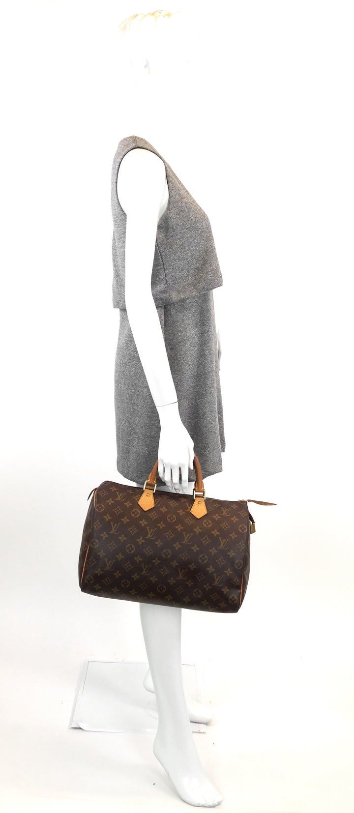 speedy 35 monogram canvas bag