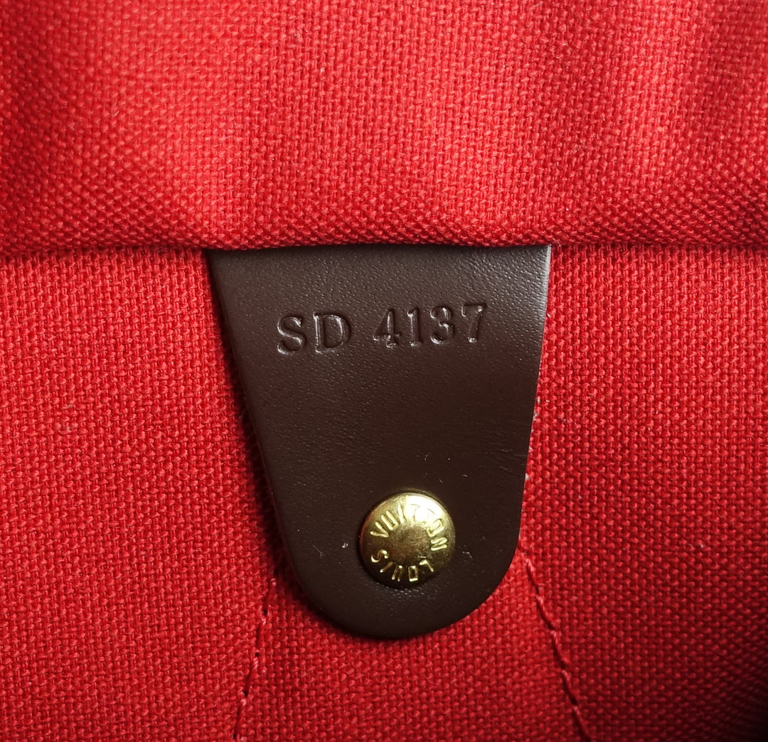 speedy 25 damier ebene canvas bag