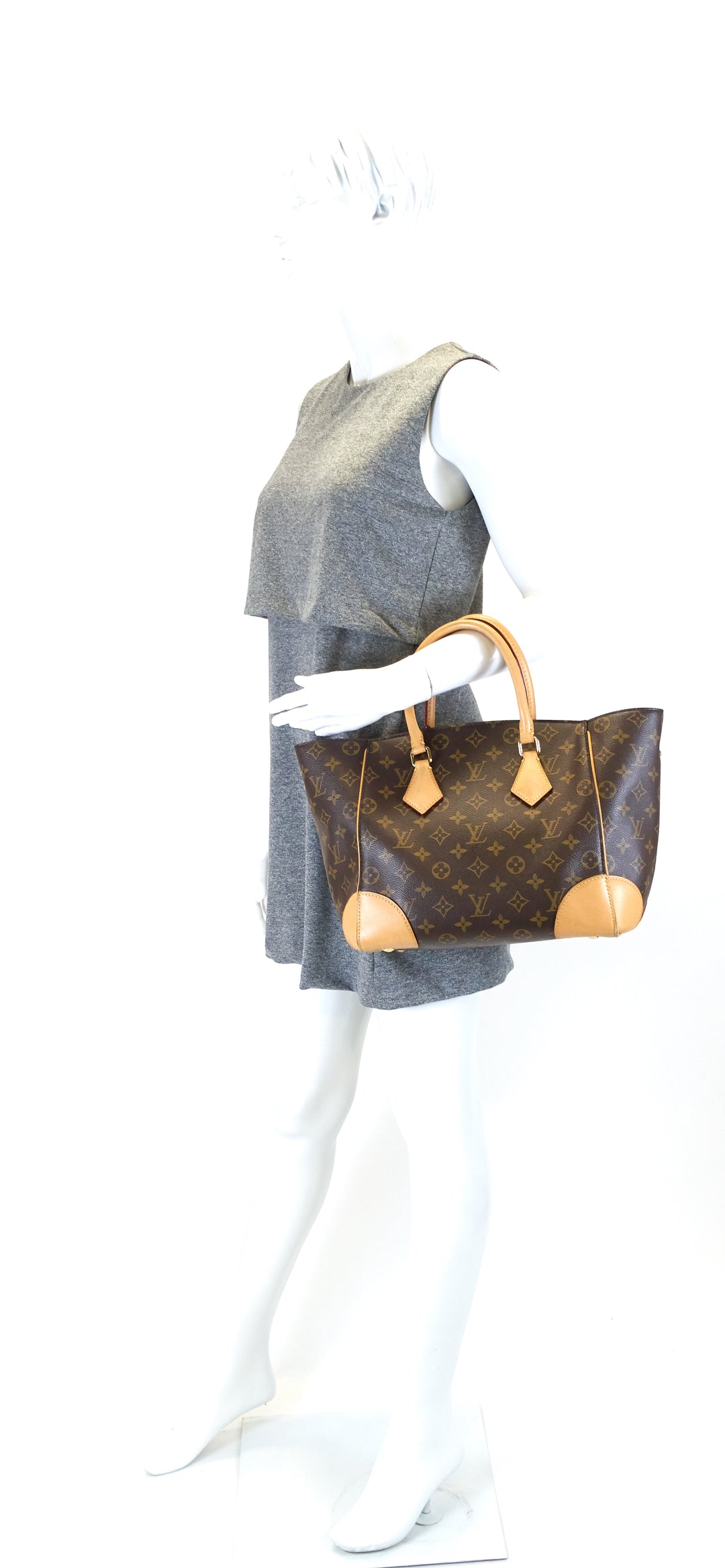phenix mm monogram canvas bag