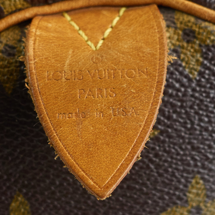 speedy 30 monogram canvas bag