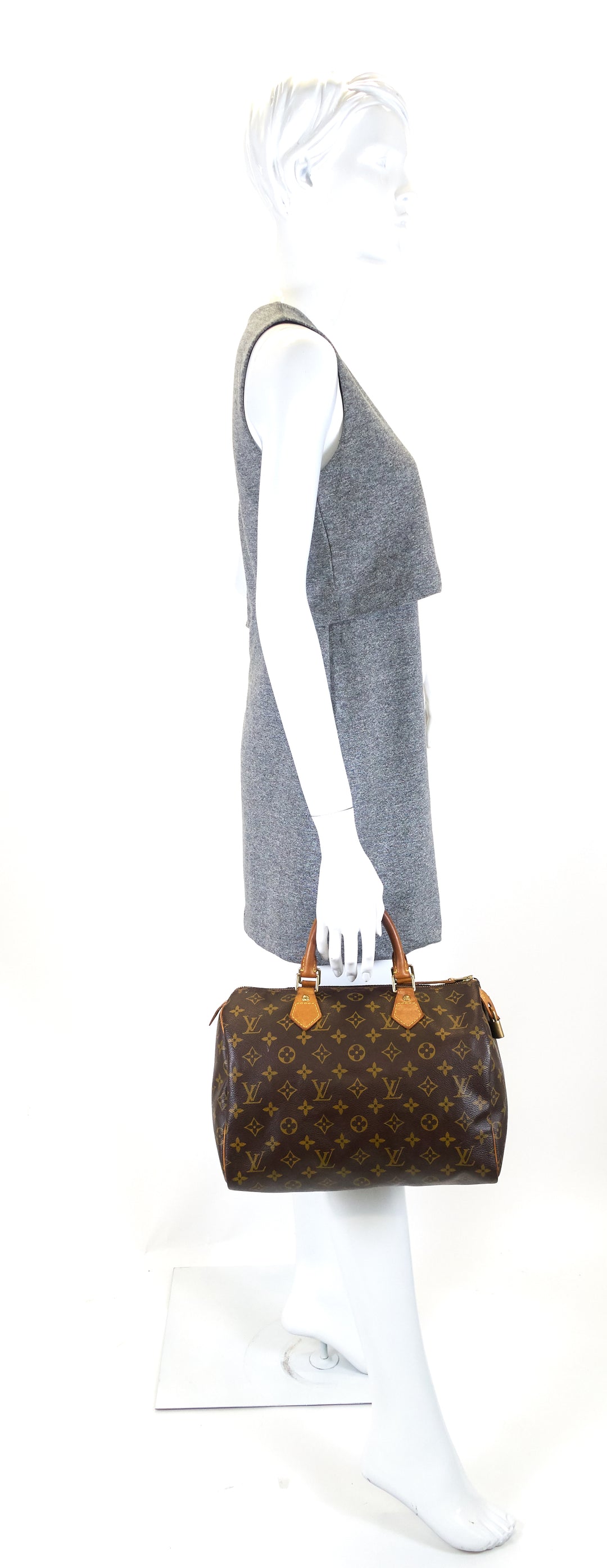 speedy 30 monogram canvas bag