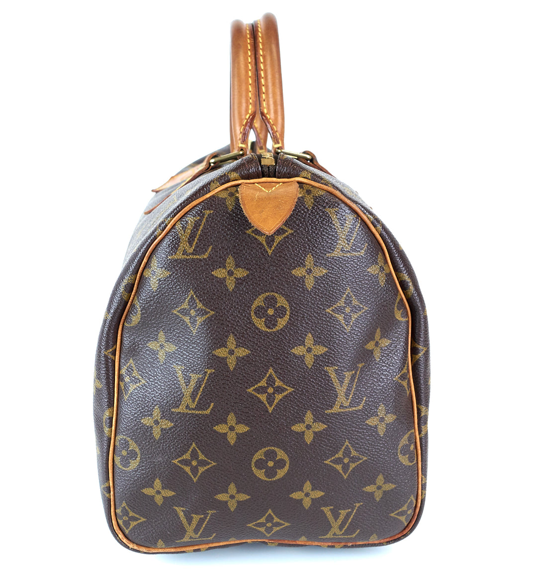 speedy 30 monogram canvas bag