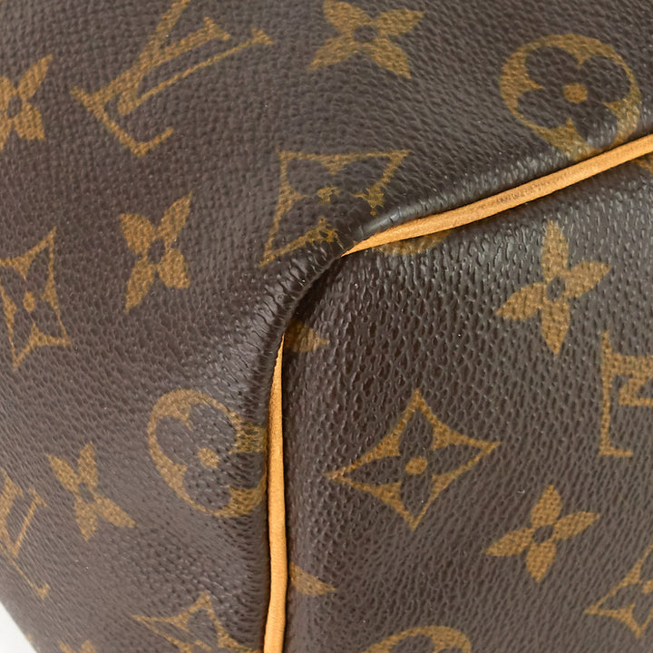 speedy 25 monogram canvas bag
