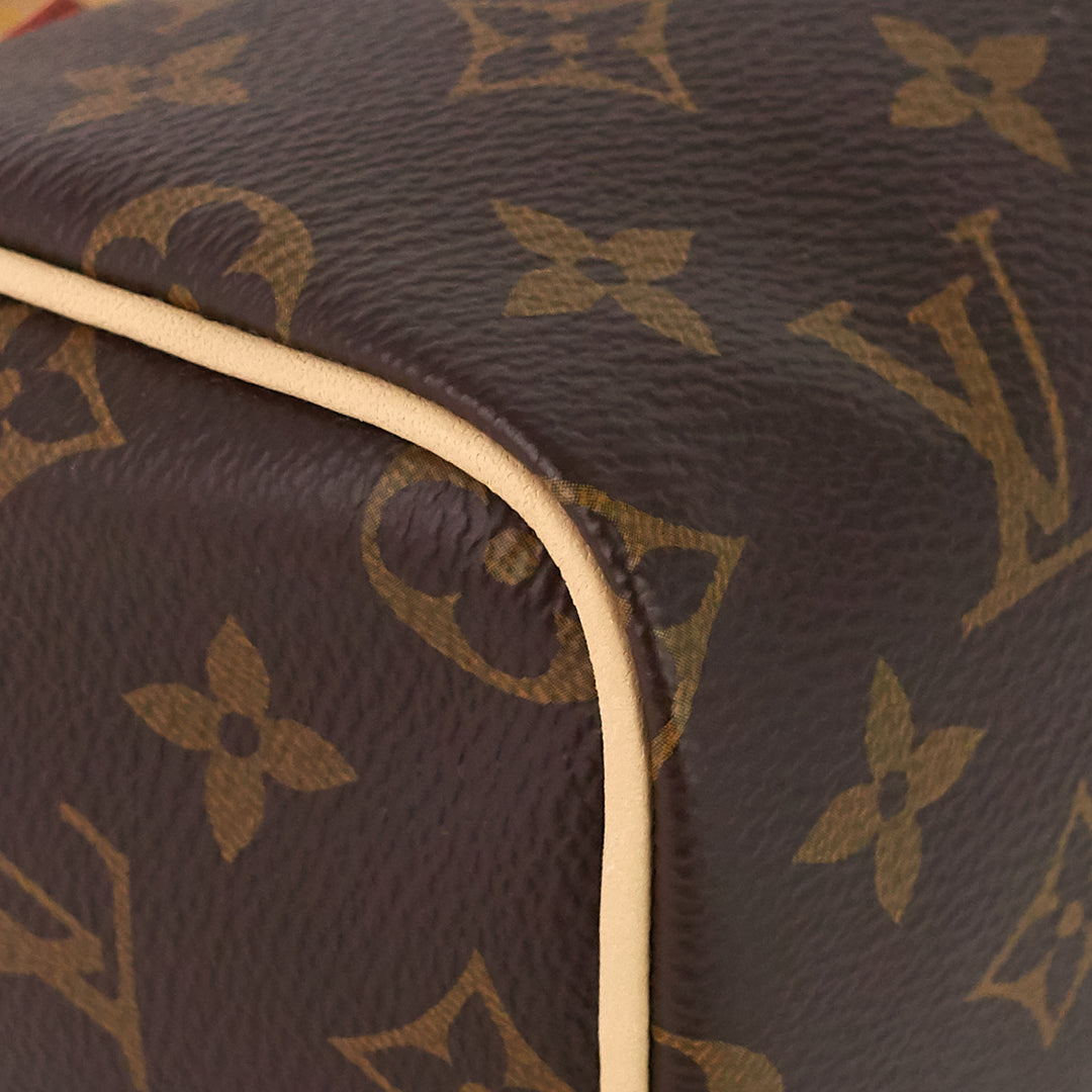 speedy nano monogram canvas bag