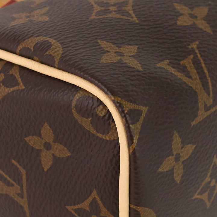 speedy nano monogram canvas bag