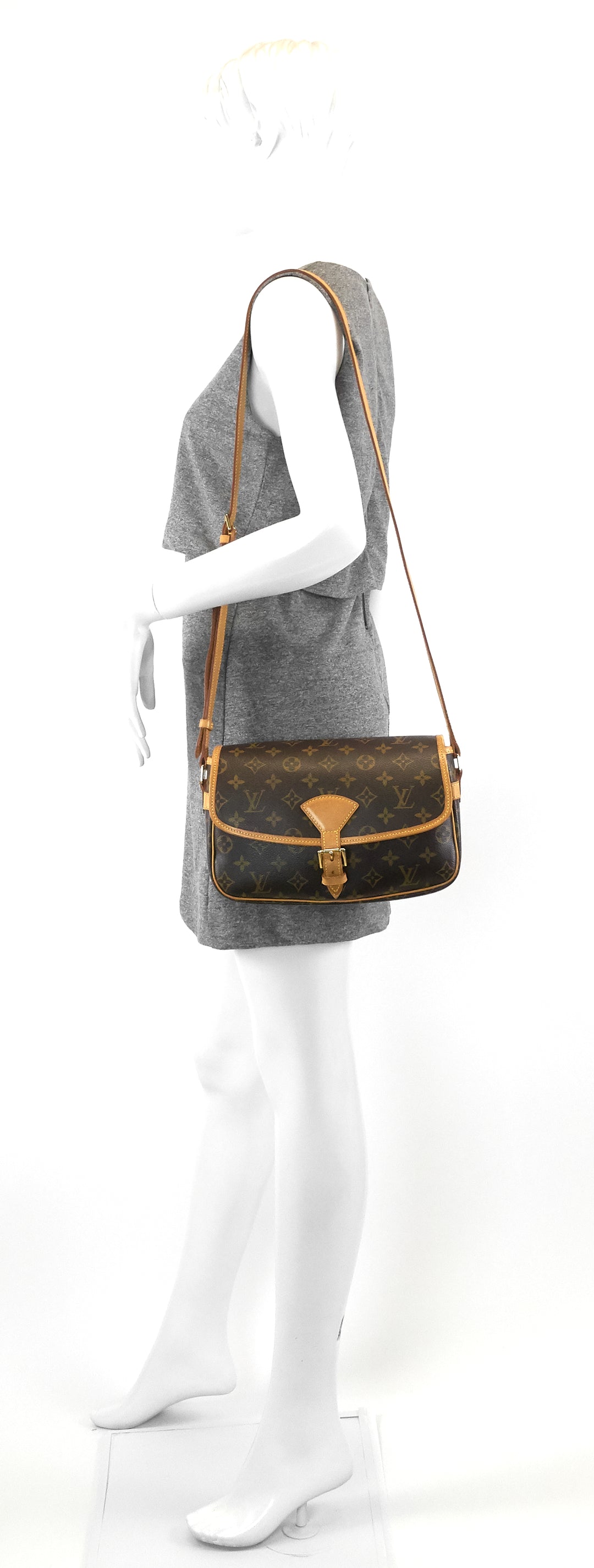 sologne monogram canvas bag