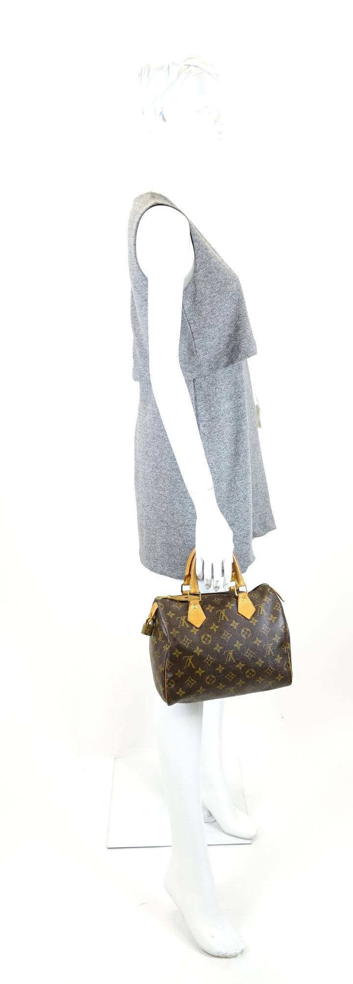 speedy 25 monogram canvas bag