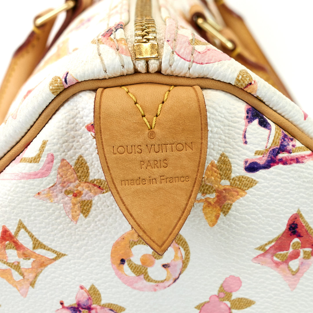 speedy 35 aquarelle monogram canvas bag